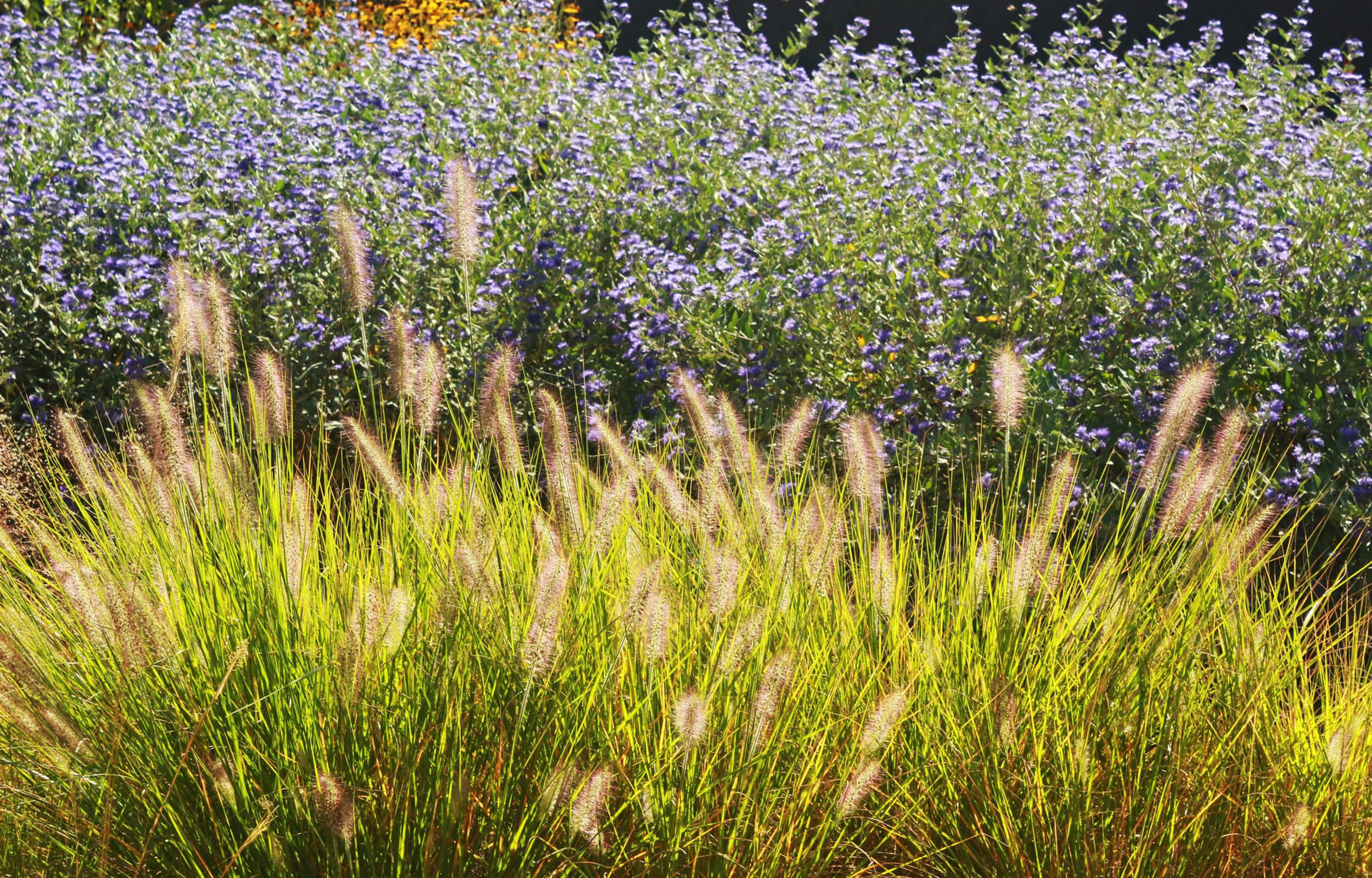 Gartenpflege